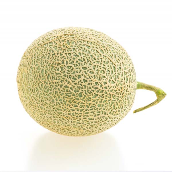 Galia -Melon-opt