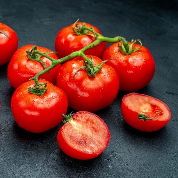 Tomato-cat-opt