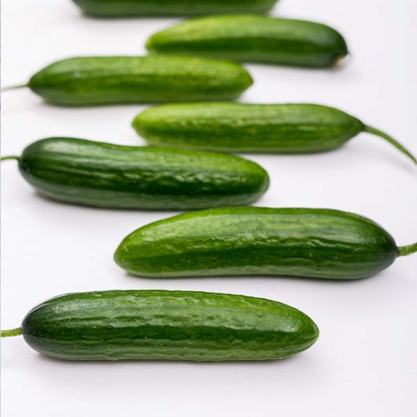 mini-cucumber-opt
