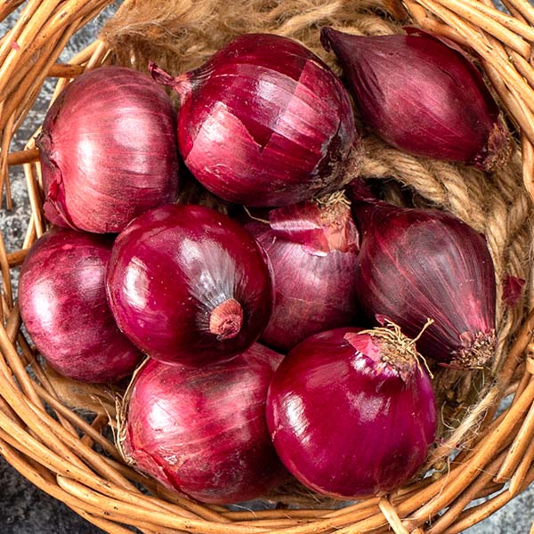 onion2-cat-opt