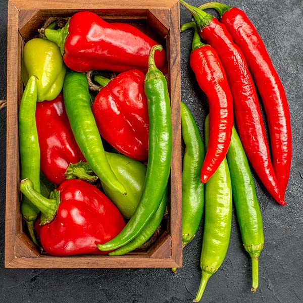 peper-cat-opt