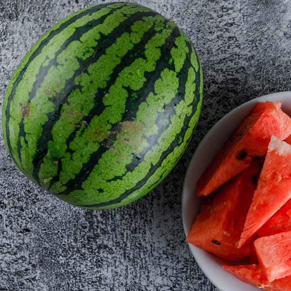 watermelon-cat-opt
